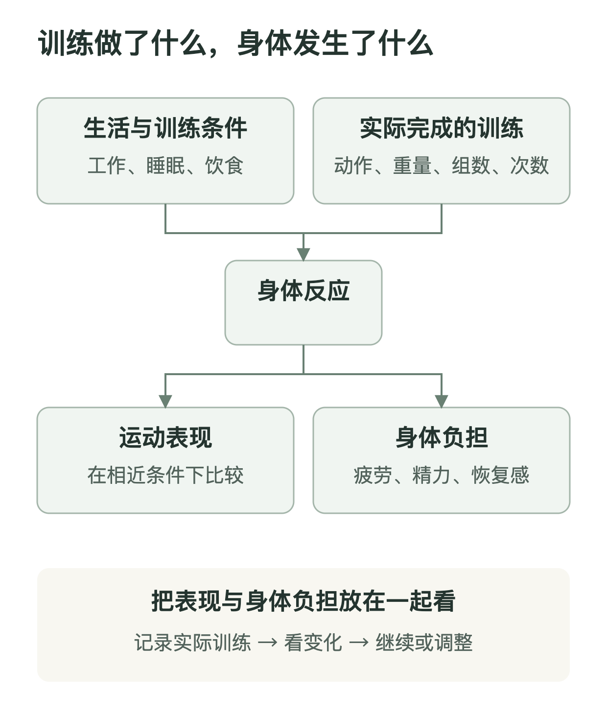 图1　训练输入与身体反应